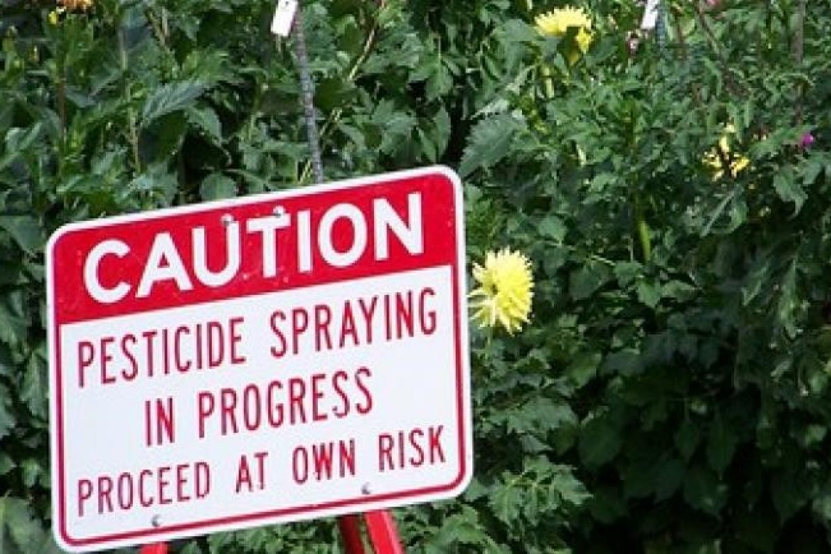 caution sign that reads "Pesticide spraying in progress: proceed at own risk" in front of blooming plants