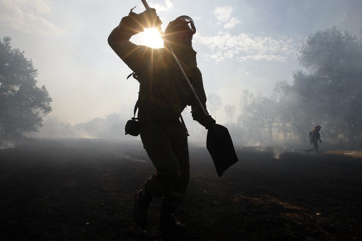 Firefighter in a burned field with smoke uses shovel to put out embers.